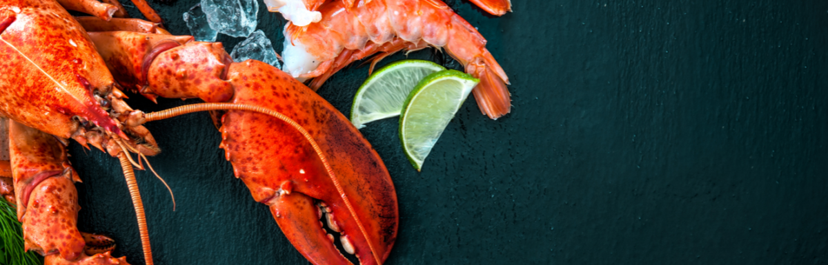 Lp Wp Li If Lobsters Had Doctors We Wouldnt Eat Them For Dinner… 1200x385