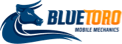 Client Logo Bluetoro